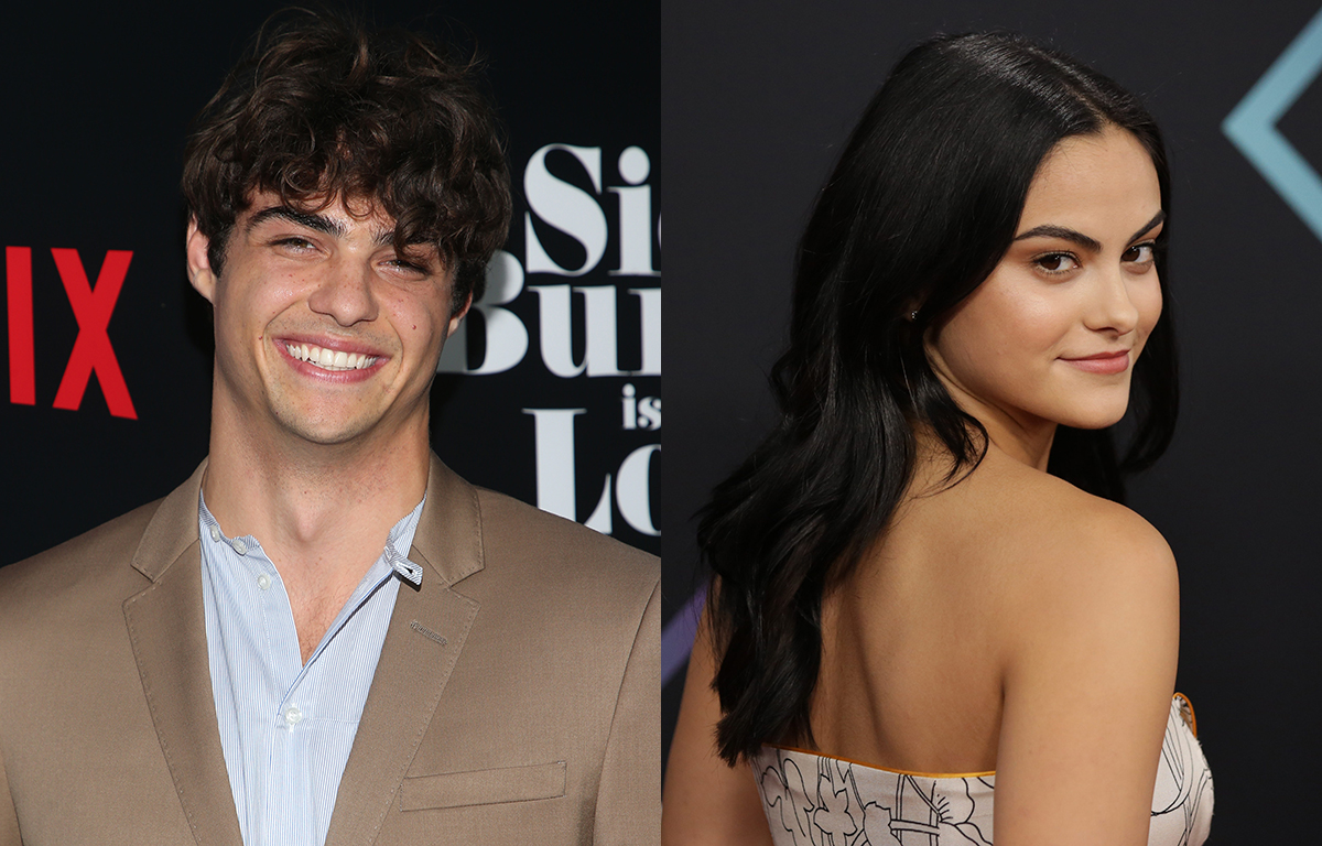 First Look at Noah Centineo’s New Rom-Com Where He Plays a Fake Boyfriend Again