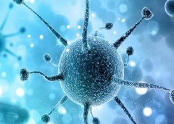 Coronavirus India Live: 75 new cases in last 24 hours, person returned from Dubai in Chandigarh infected