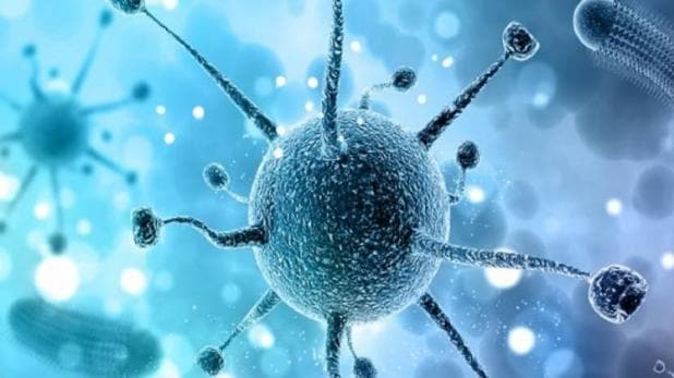 Coronavirus India Live: 75 new cases in last 24 hours, person returned from Dubai in Chandigarh infected