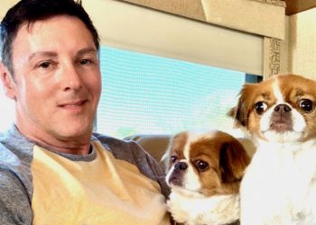 “I feel fine” — Trivago Guy Sean Borg posts adorable snap with his Japanese Chins amid COVID-19 lockdown