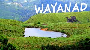 Wayanad Tour Guide; How to reach