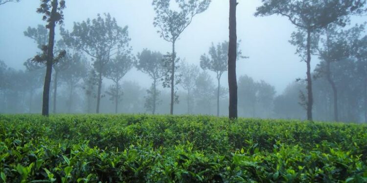 Top 10 best tourist places to visit in Kerala