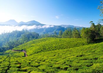 Here are 7 places to visit in Himachal Pradesh during monsoon