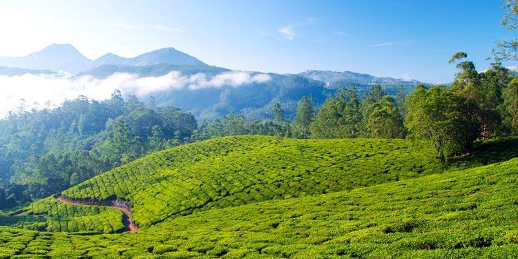 Here are 7 places to visit in Himachal Pradesh during monsoon