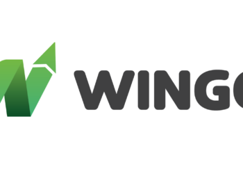 8 Reasons Why Traders Lose Money in Stock Markets – How WingoMarkets Help Traders in Forex Trading and Beyond