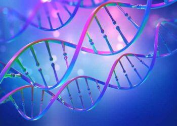 Genome Altering At The Center Of Attention: Hereditary Turmoil Transporters’ Perspectives Shape The Discussion