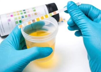 Important First Stages In Preparing For The First Clinical Bladder Transplant Are Provided By Pre-Clinical Investigations