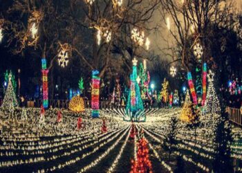 Enjoy these ten Chicagoland light displays in November