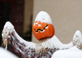 Is it going to snow in Chicago on Halloween? As a cold front moves in What we know