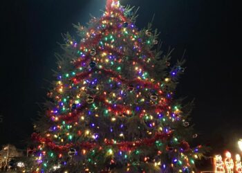 Christmas tree lighting ceremony in Arlington Heights kicks off the season.