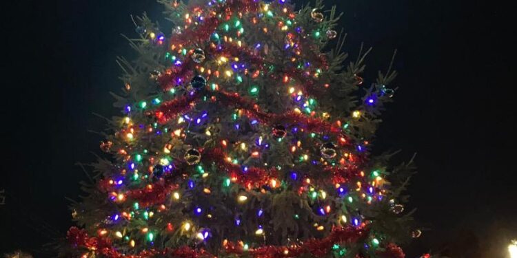 Christmas tree lighting ceremony in Arlington Heights kicks off the season.