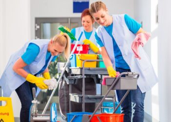 The ABCs of Cleanliness: Exploring Basic Cleaning Services
