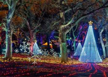 Chicago’s festive fun: acrobatics, happiness, and the final few days of the Christkindlmarket