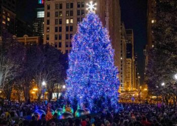 This is how the Christmas weather usually looks like in Chicago
