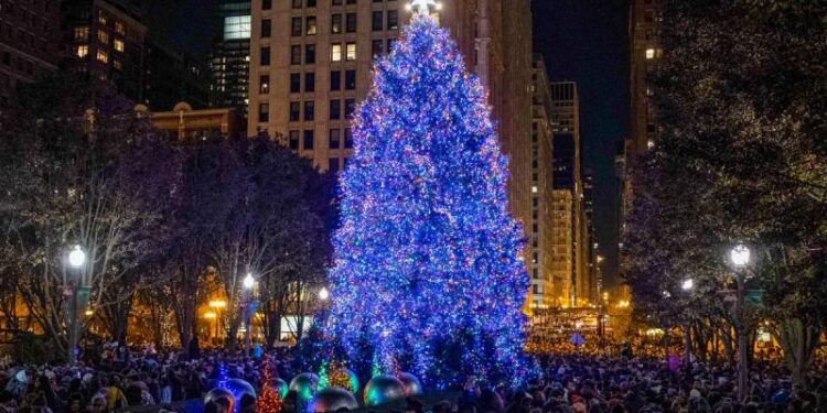 This is how the Christmas weather usually looks like in Chicago