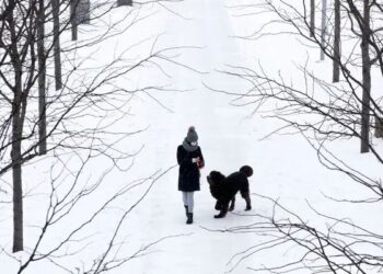 Chicago might experience a winter snowstorm next week