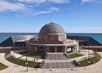 Here are the free museum days in the Chicago area, from Shedd Aquarium to the Field Museum