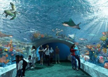 Here are the free winter hours for the Shedd Aquarium